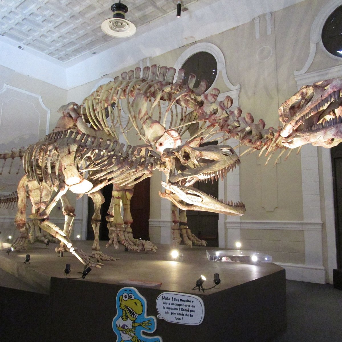 Museo de Ciencias Naturales (San Juan) - All You Need to Know BEFORE You Go Museo de Ciencias Naturales (San Juan) - All You Need to Know BEFORE You Go