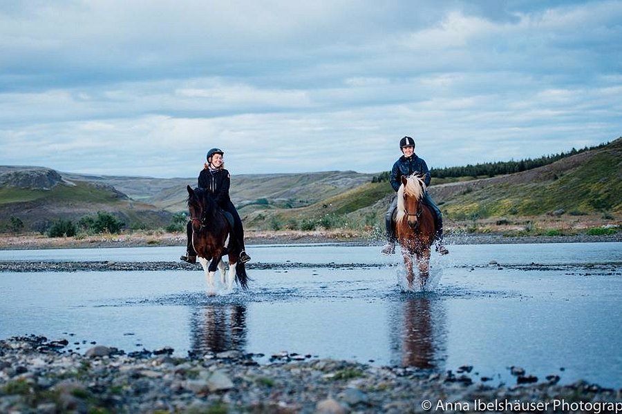 Riding Tours South Iceland image