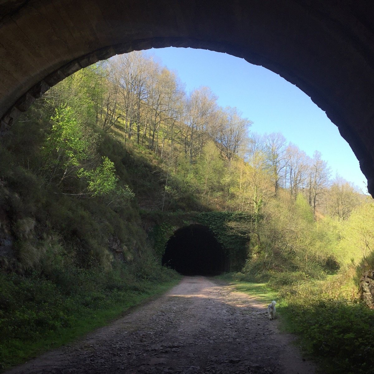 Engaña Tunnel (Vega de Pas): All You Need to Know BEFORE You Go