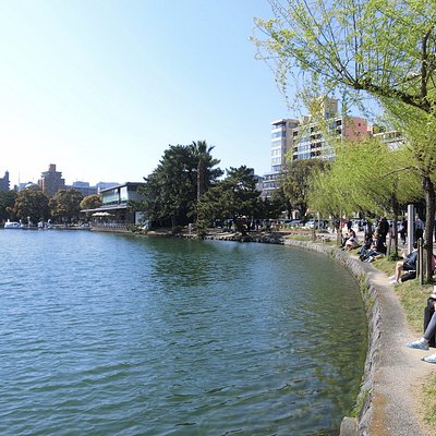 21年 福岡市で絶対外さないおすすめ観光スポットトップ10 定番から穴場まで トリップアドバイザー 21年 福岡市で絶対外さないおすすめ観光スポットトップ10 定番から穴場まで トリップアドバイザー