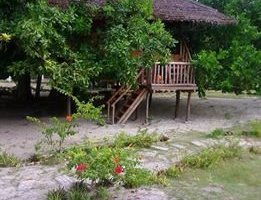Treehouse