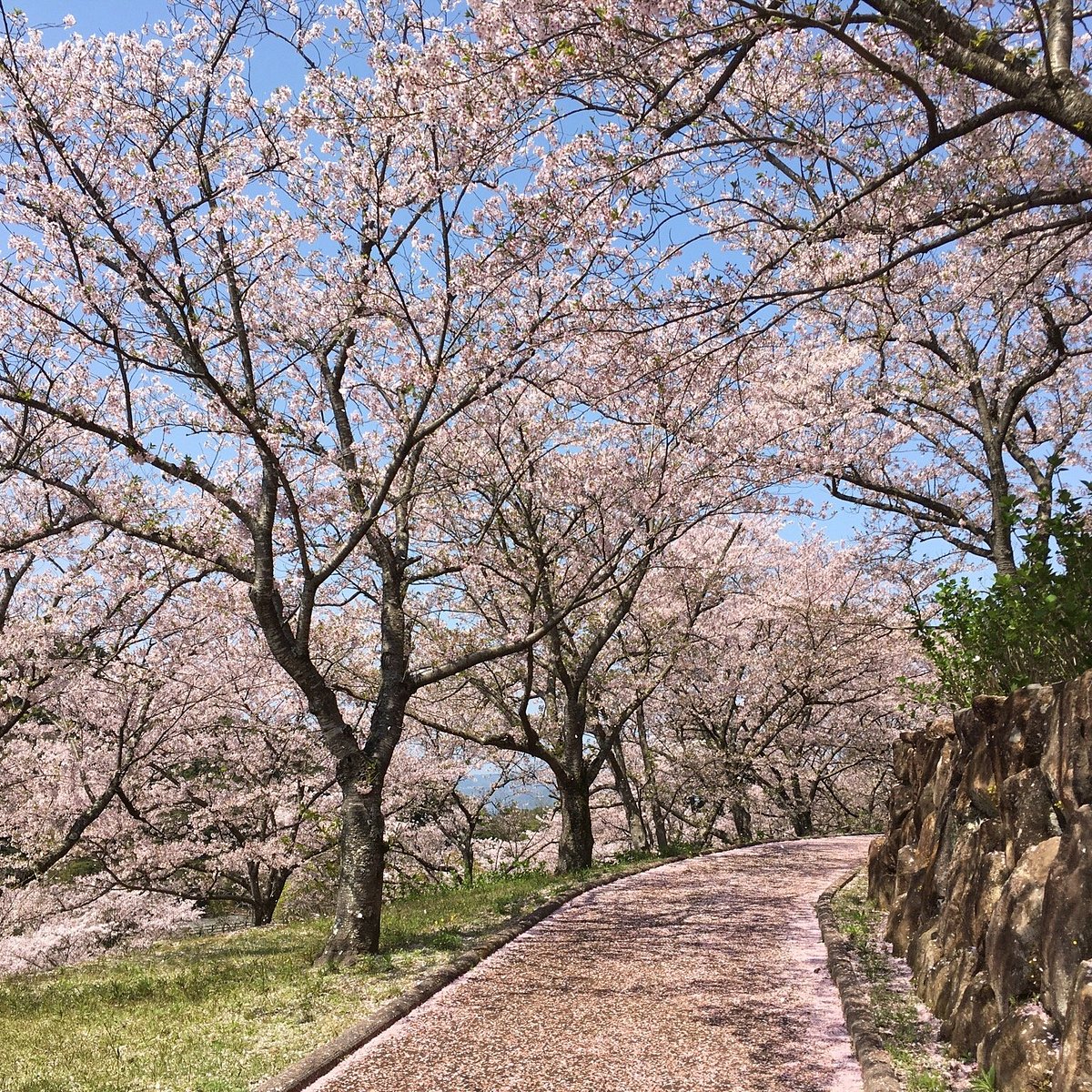 22年 大崎くじゃく園 行く前に 見どころをチェック トリップアドバイザー