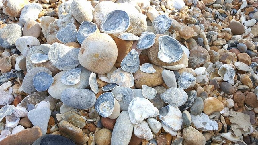 On the beach