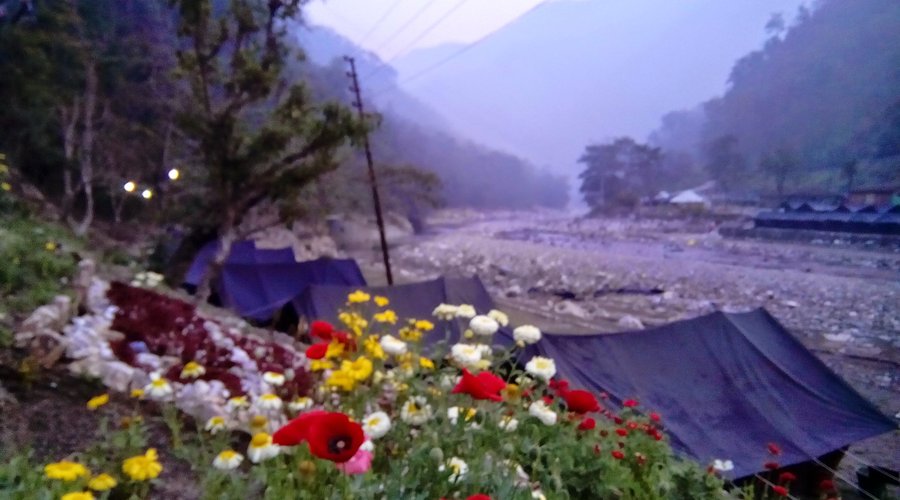 Spring time at Sahaja Retreat 
