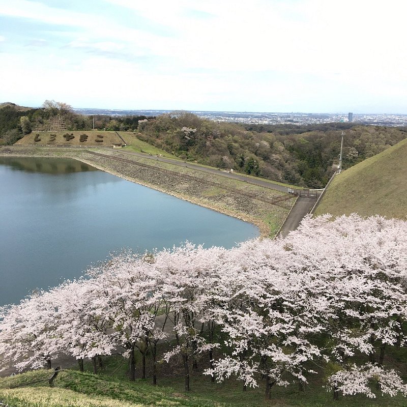 Sagamihara Park