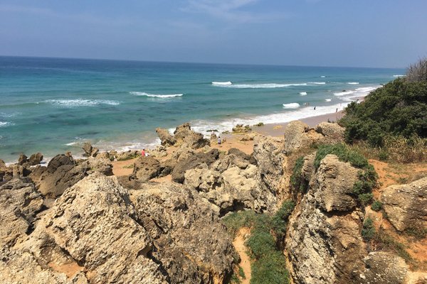 8 reasons to visit Conil de la Frontera (Spain) - Tudestino BLOG 2023