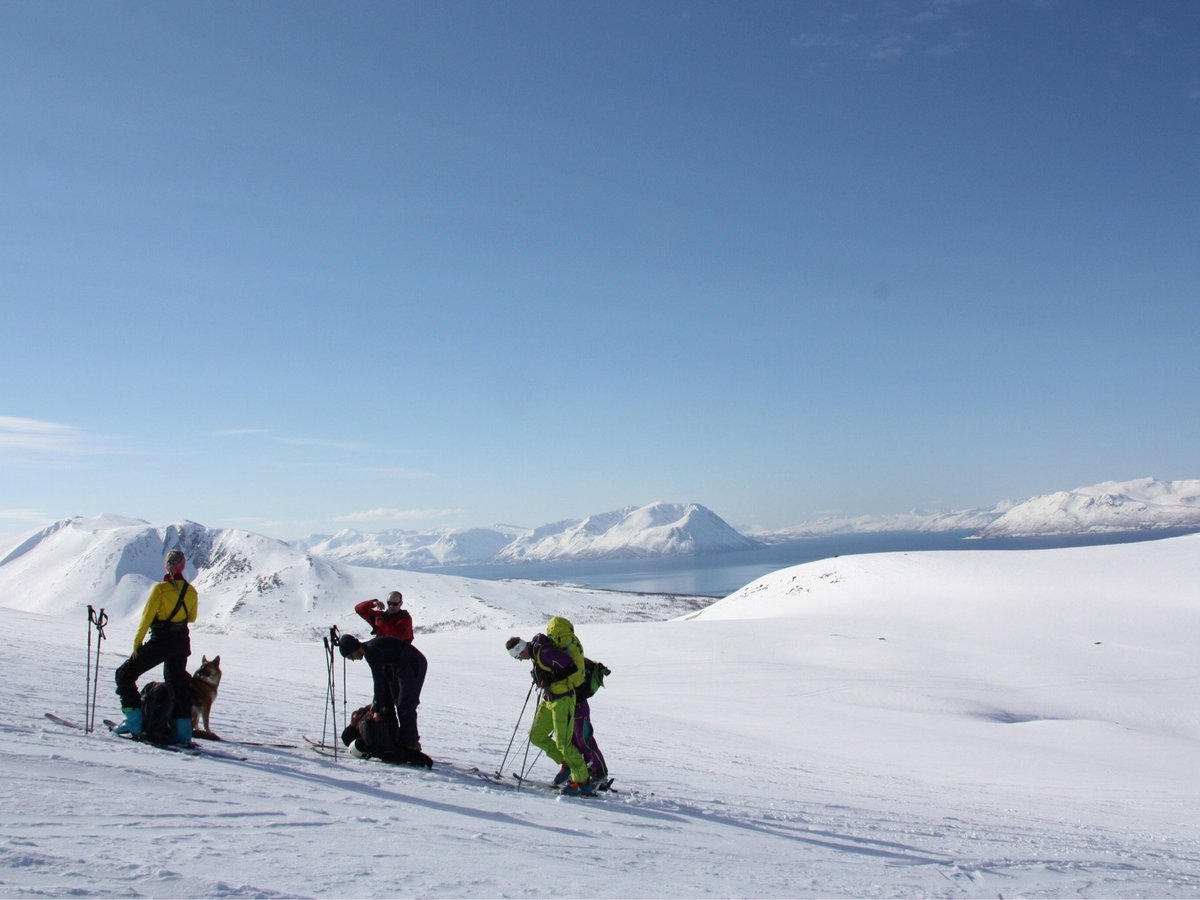 BASE TROMSO - All You Need to Know BEFORE You Go