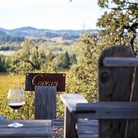 Copain Adirondack View from our Hilltop Tasting Room
