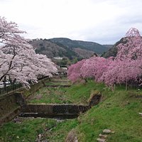 宮城野早川堤
