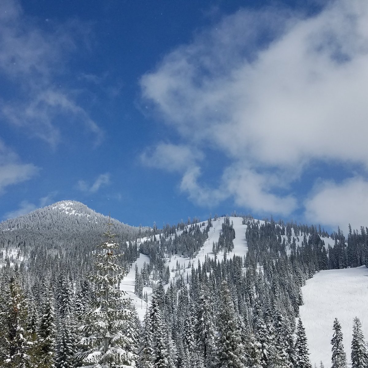 Mount Shasta Board & Ski Park - All You Need to Know BEFORE You Go (2024)