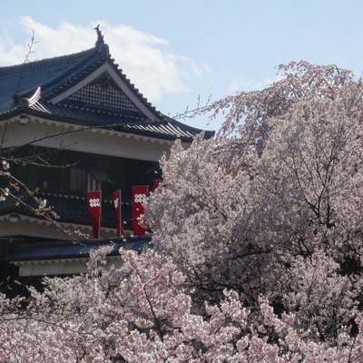 21年 上田市で絶対外さないおすすめ観光スポットトップ10 定番から穴場まで トリップアドバイザー