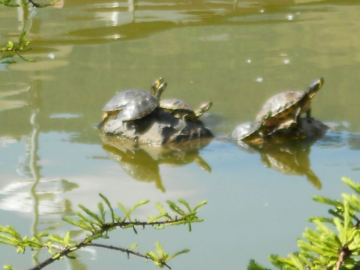 Imagen 9 de Jardín Botánico de Barakaldo