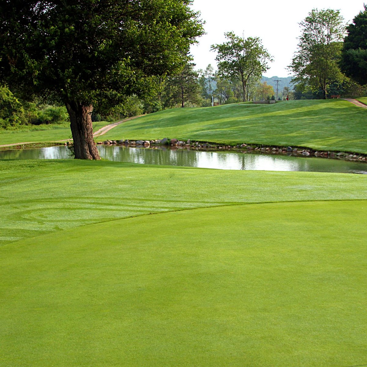 HILLS' HEART OF THE LAKES GOLF COURSE (Brooklyn) 2022 What to Know