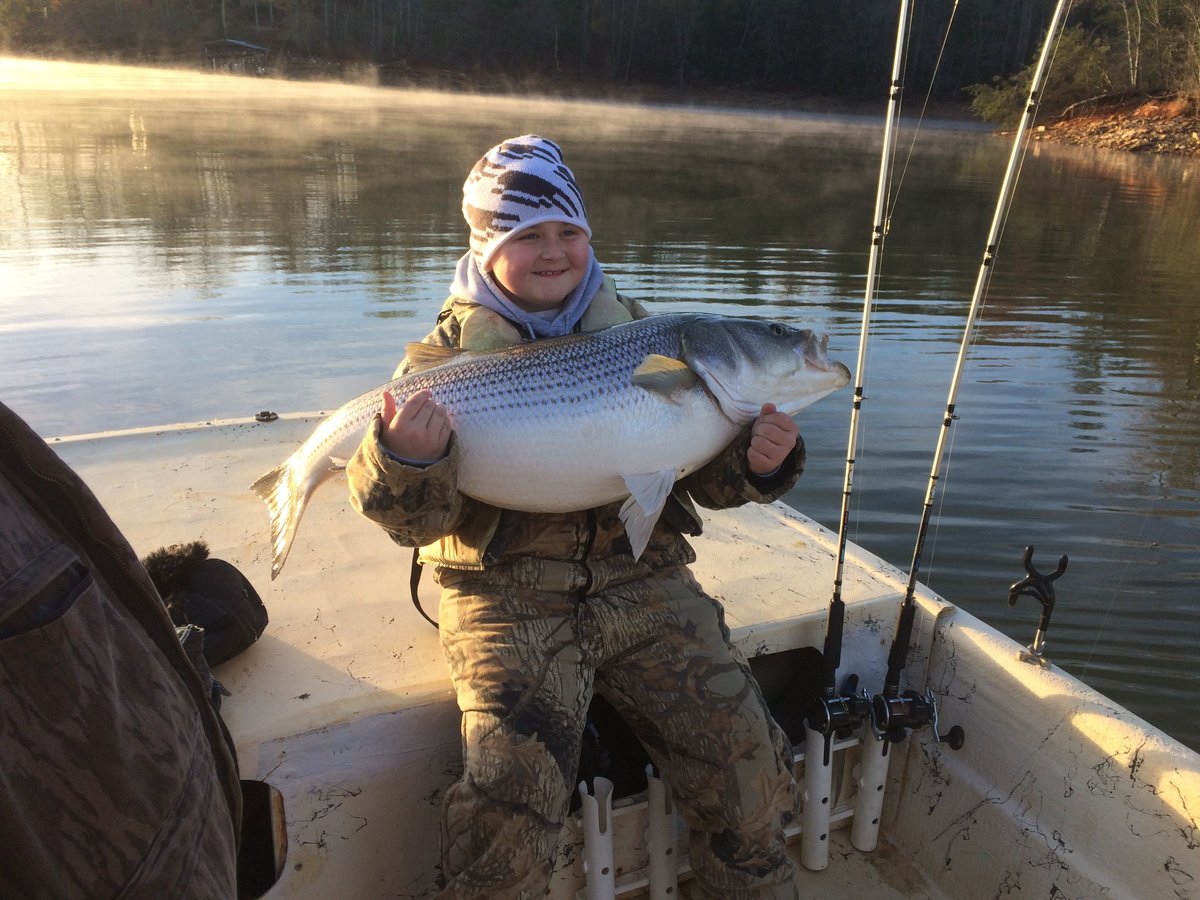 LAKE NOTTELY FISHING CHARTER (Blairsville) - All You Need to Know ...