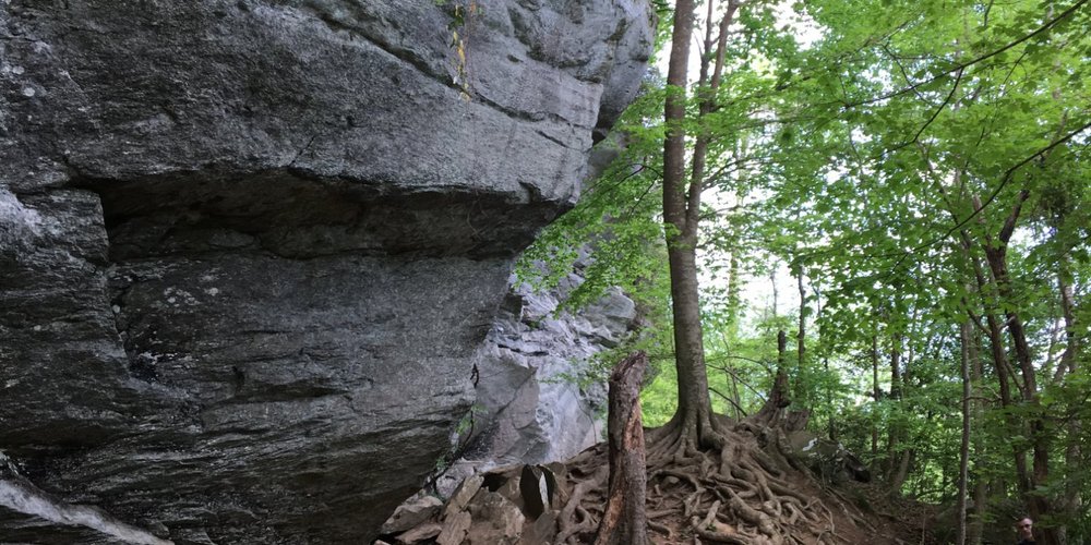 Lillington, NC 2023 Best Places to Visit Tripadvisor