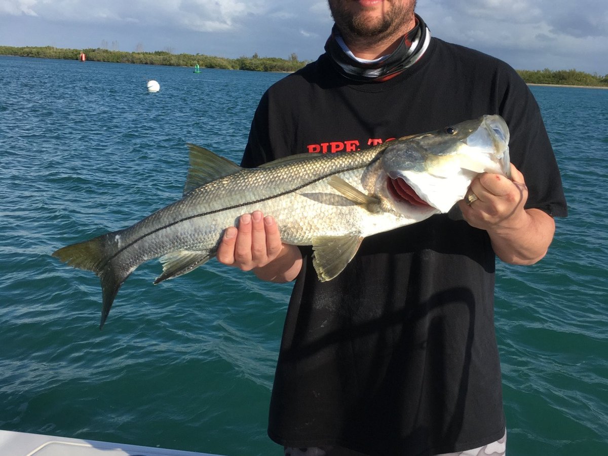 EAST COAST FISHING CHARTERS (Vero Beach) 2023 What to Know BEFORE You Go