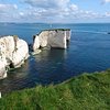 Things To Do in Studland Trekking Centre, Restaurants in Studland Trekking Centre