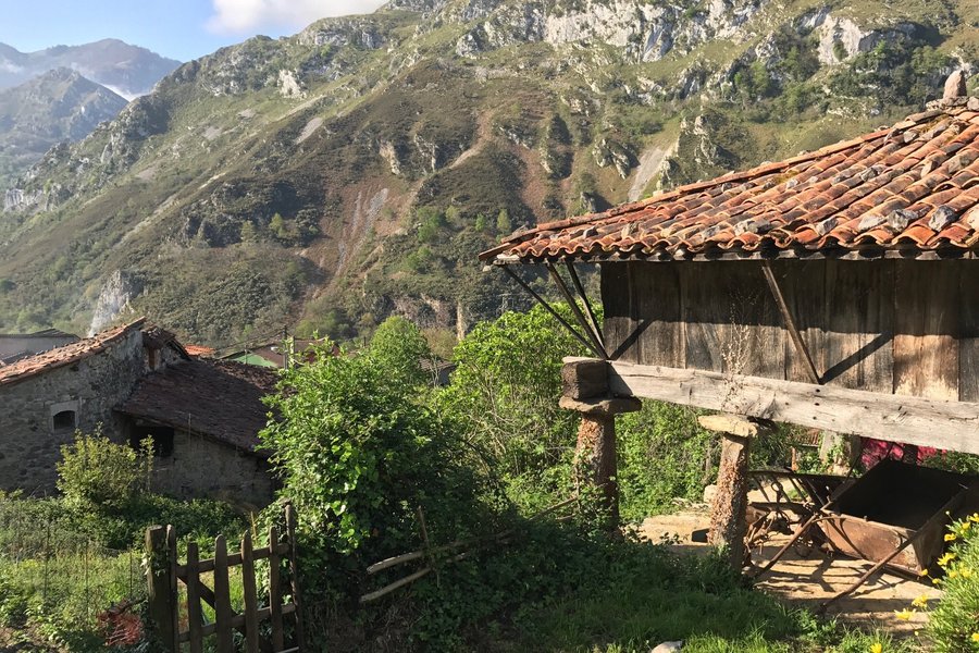 CASA RURAL LA RIBA (Sames, España): opiniones, comparación de ...