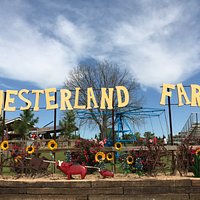 ome to YesterLand Farm for a nostalgic step back in time. It’s old-fashioned fun on the farm.