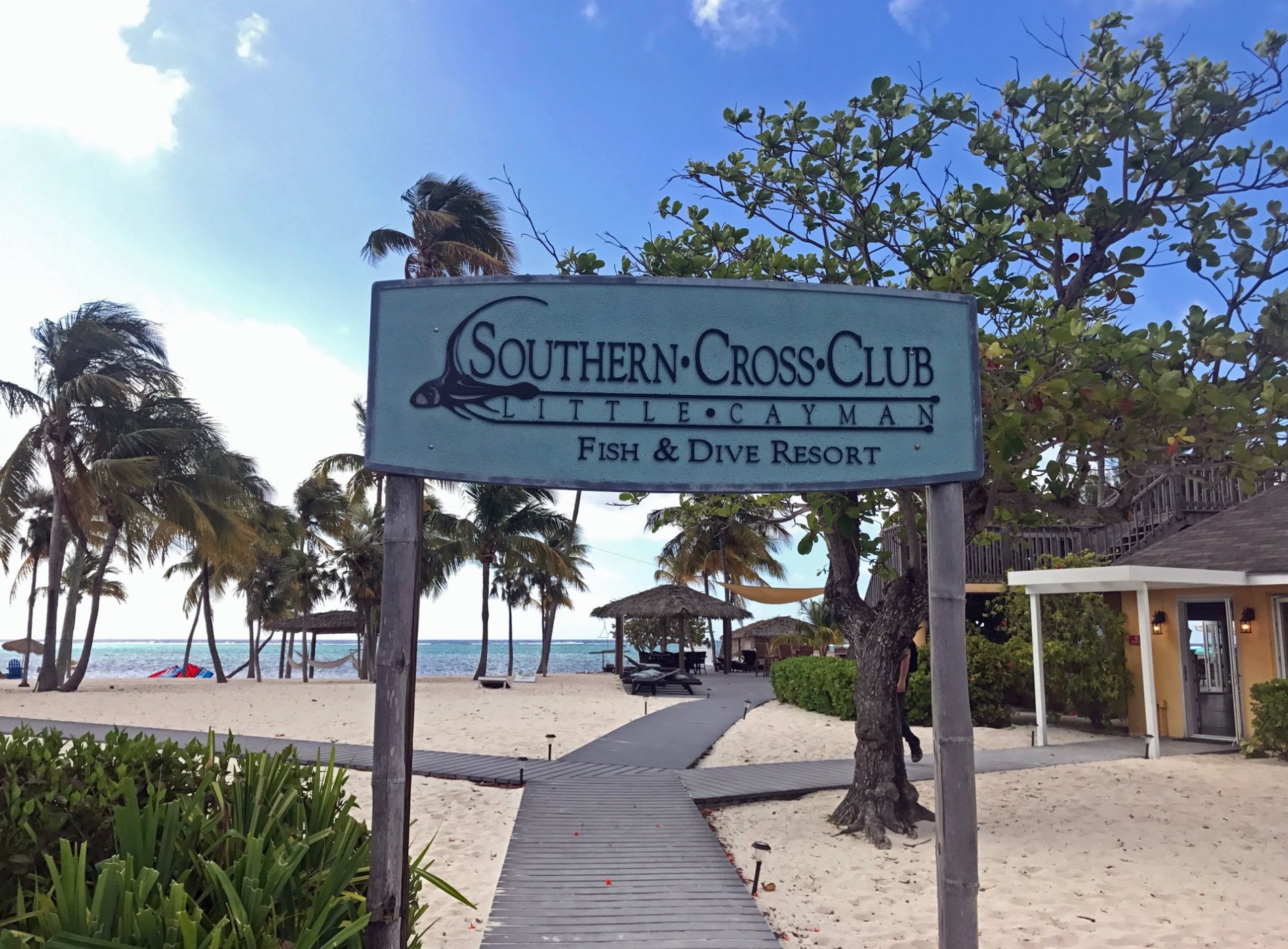 Southern Cross Club by null