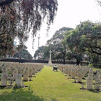 Neat rows of gravestones and great old trees