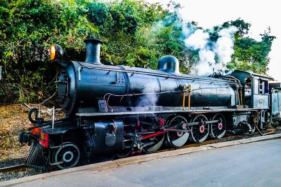 Zimbabwe. Victoria Falls. Steam train. Man looking out of window