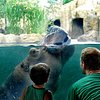 Things To Do in Zoos & Aquariums, Restaurants in Zoos & Aquariums