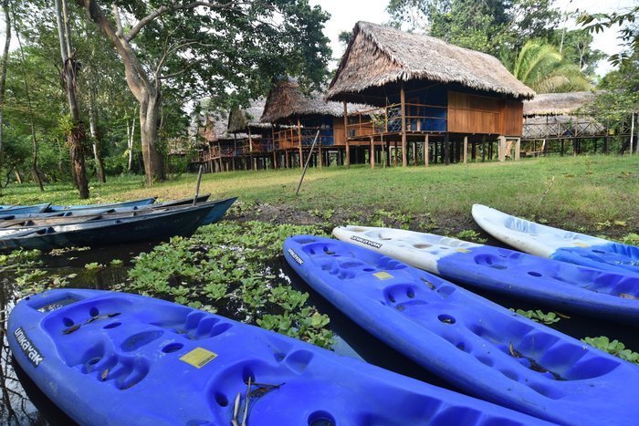 Muyuna Amazon Lodge Restaurant: Pictures & Reviews - Tripadvisor