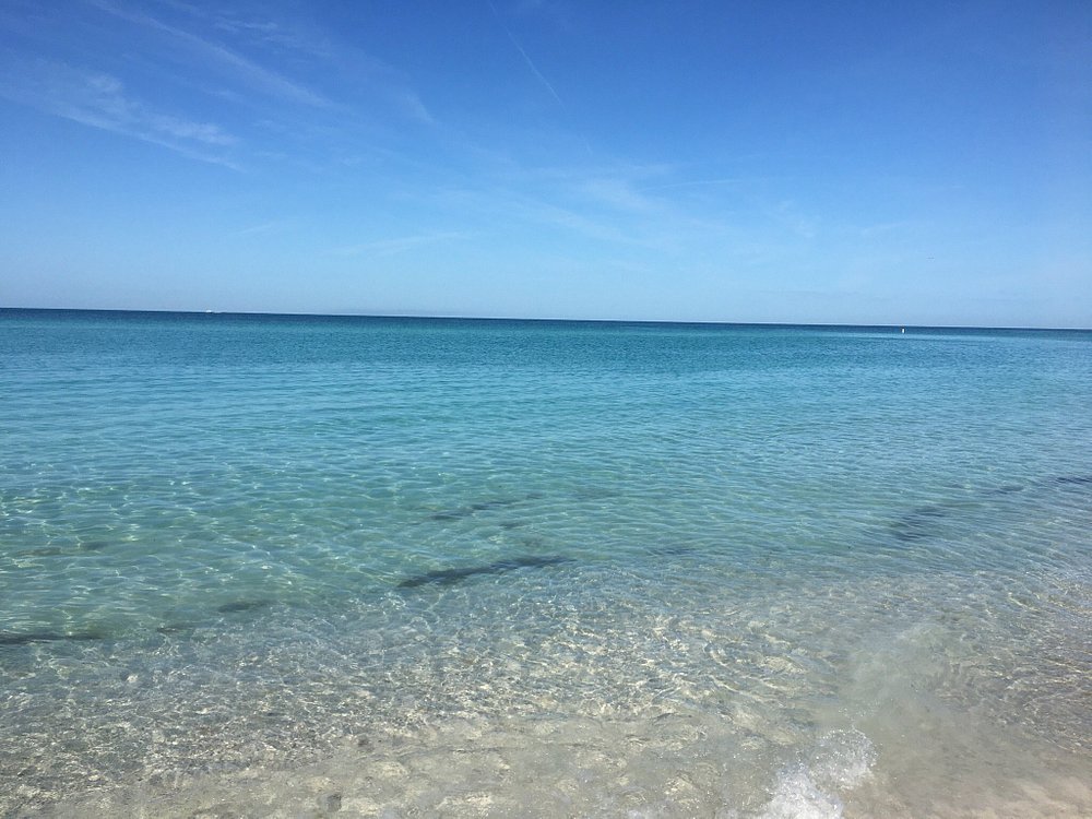 THE 15 BEST Things to Do in Anna Maria Island - 2024 (with Photos ...