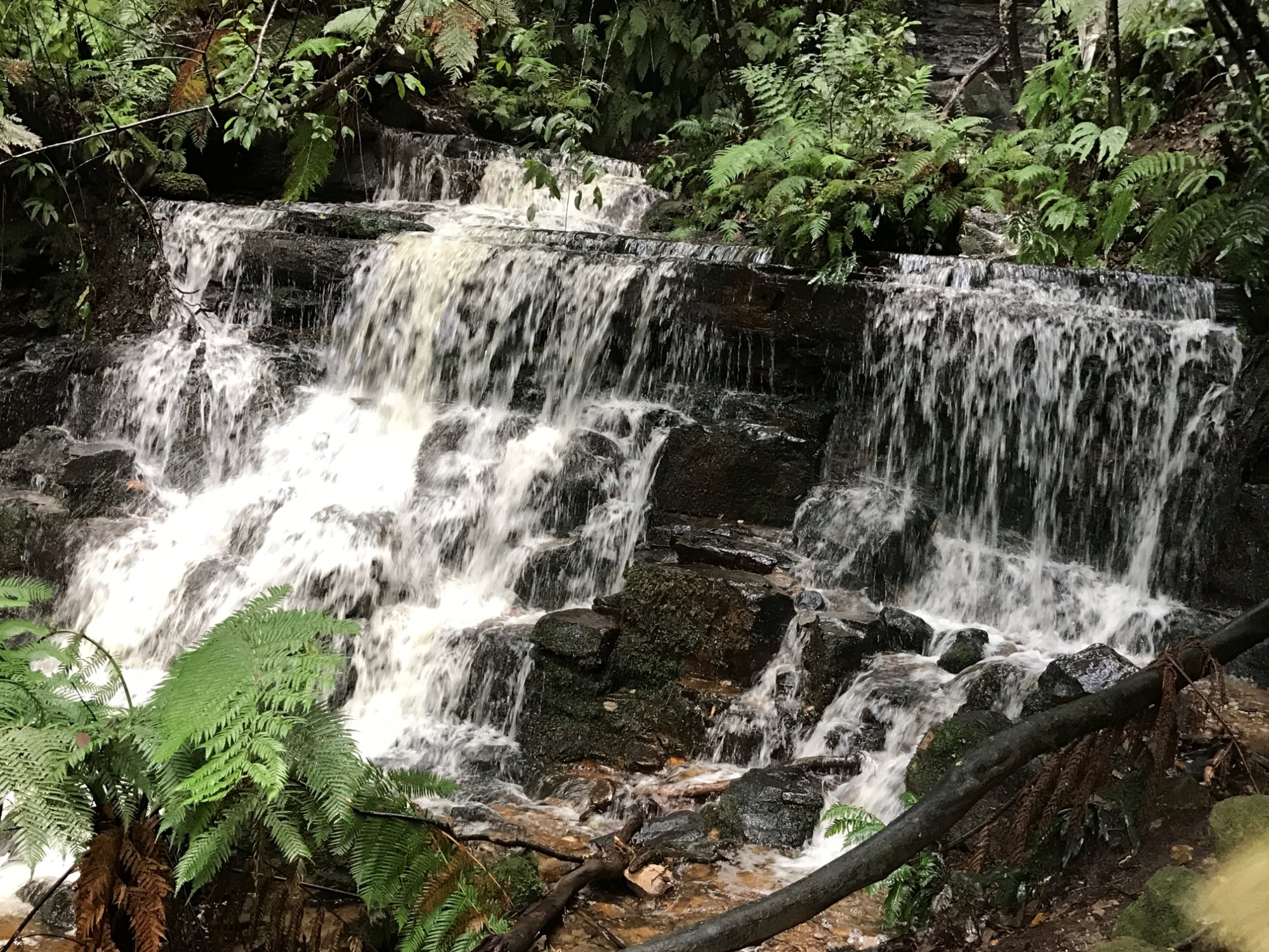 Terbaik Hotel Dengan Ruang Rekreasi Di Katoomba 2023 - Tripadvisor