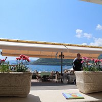 view