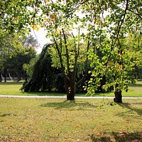 Der Südpark