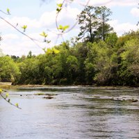 Big Shoals State Park - All You Need to Know BEFORE You Go (2024)