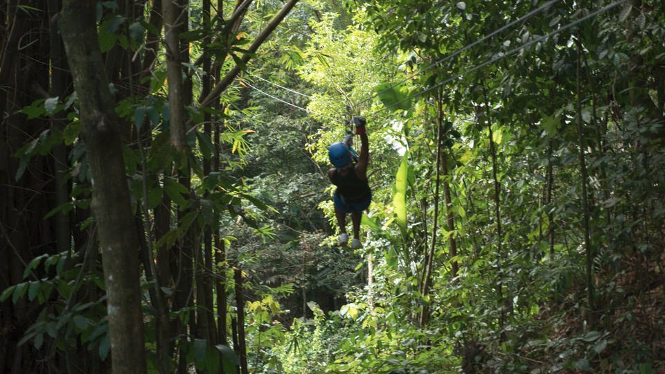 Treetop Adventure Park - All You Need to Know BEFORE You Go (2025)