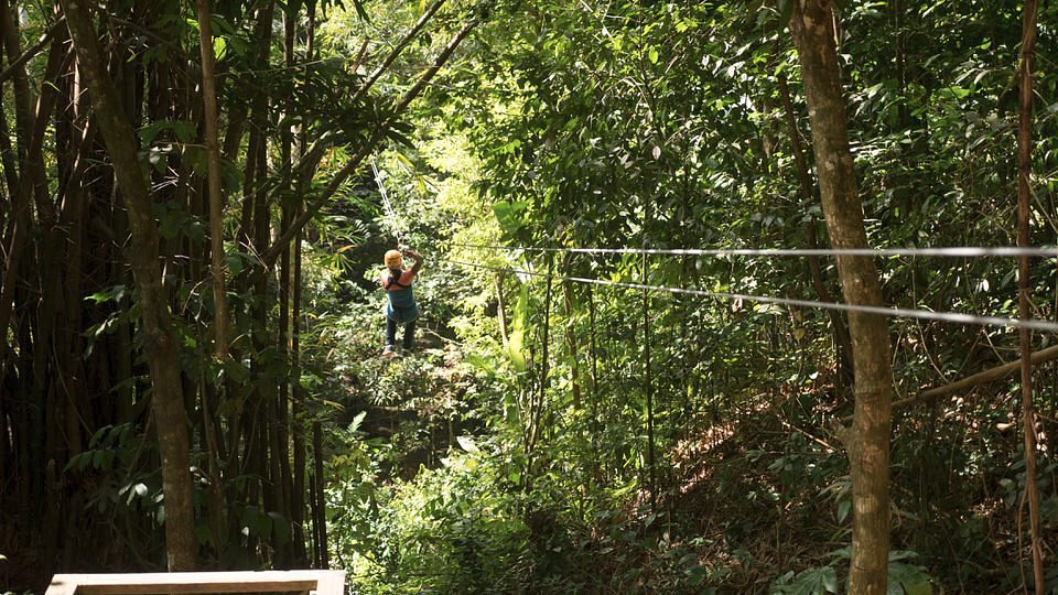 TREETOP ADVENTURE PARK (Dennery) - All You Need to Know BEFORE You Go