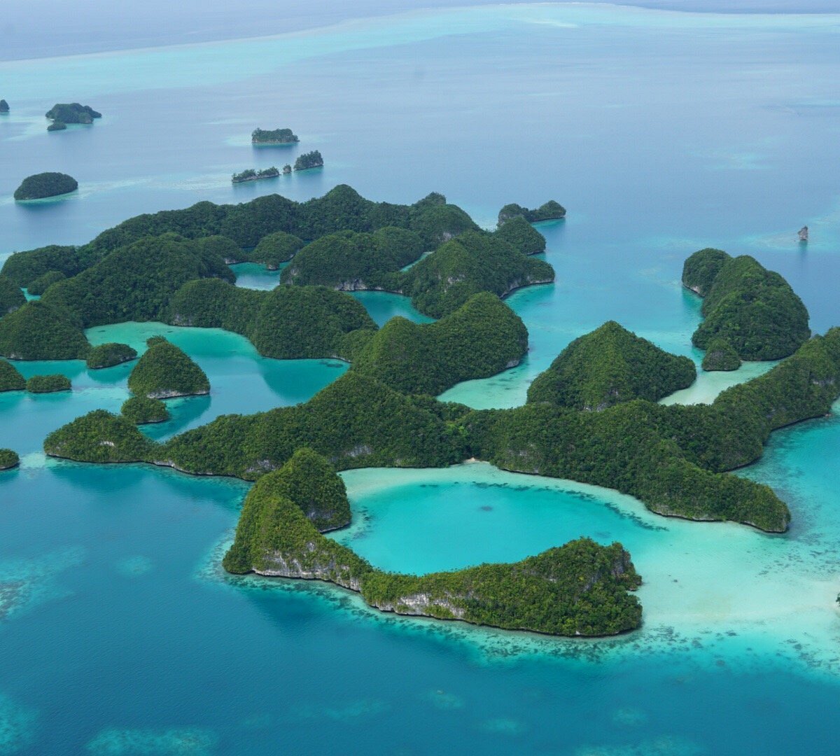 Rock Islands Southern Lagoon Koror All You Need To Know Before You Go Updated 2021 Koror