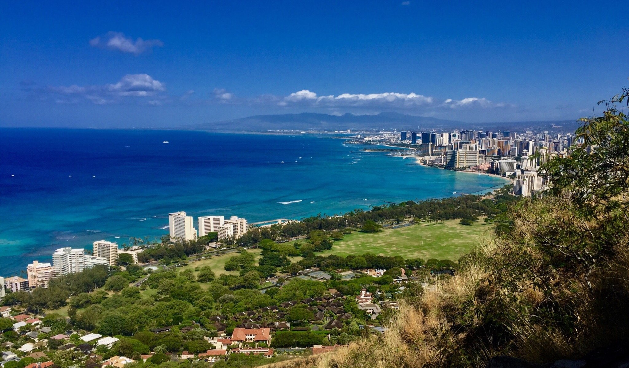 THE 15 BEST Things to Do in Honolulu (2024) MustSee Attractions