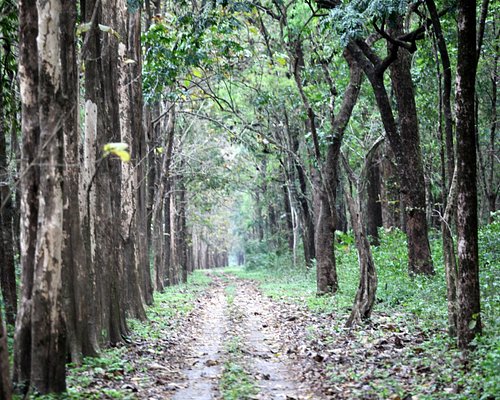 new jalpaiguri tourist places