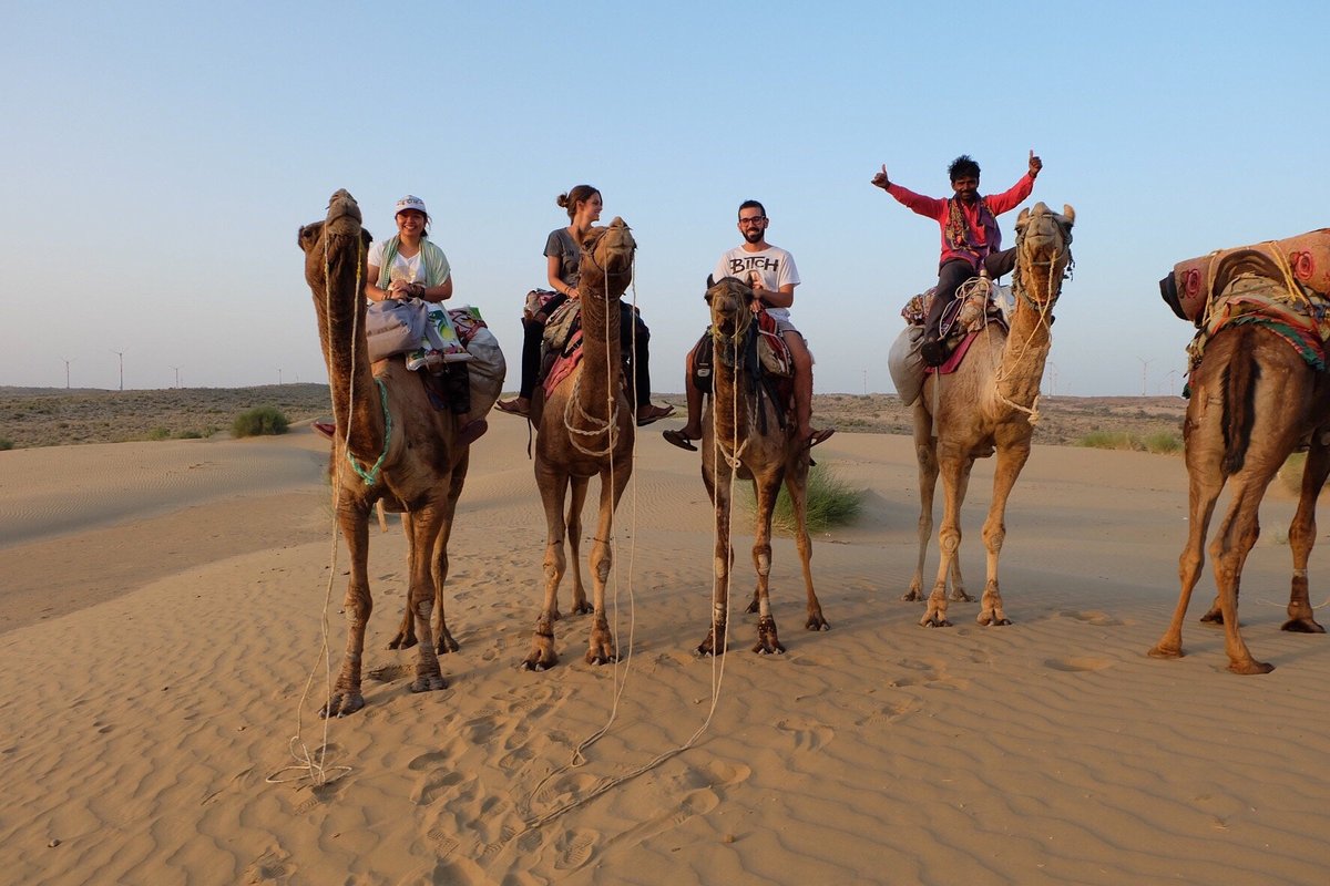 The Desert Life Camel Safari, Джайсалмер: лучшие советы перед посещением -  Tripadvisor