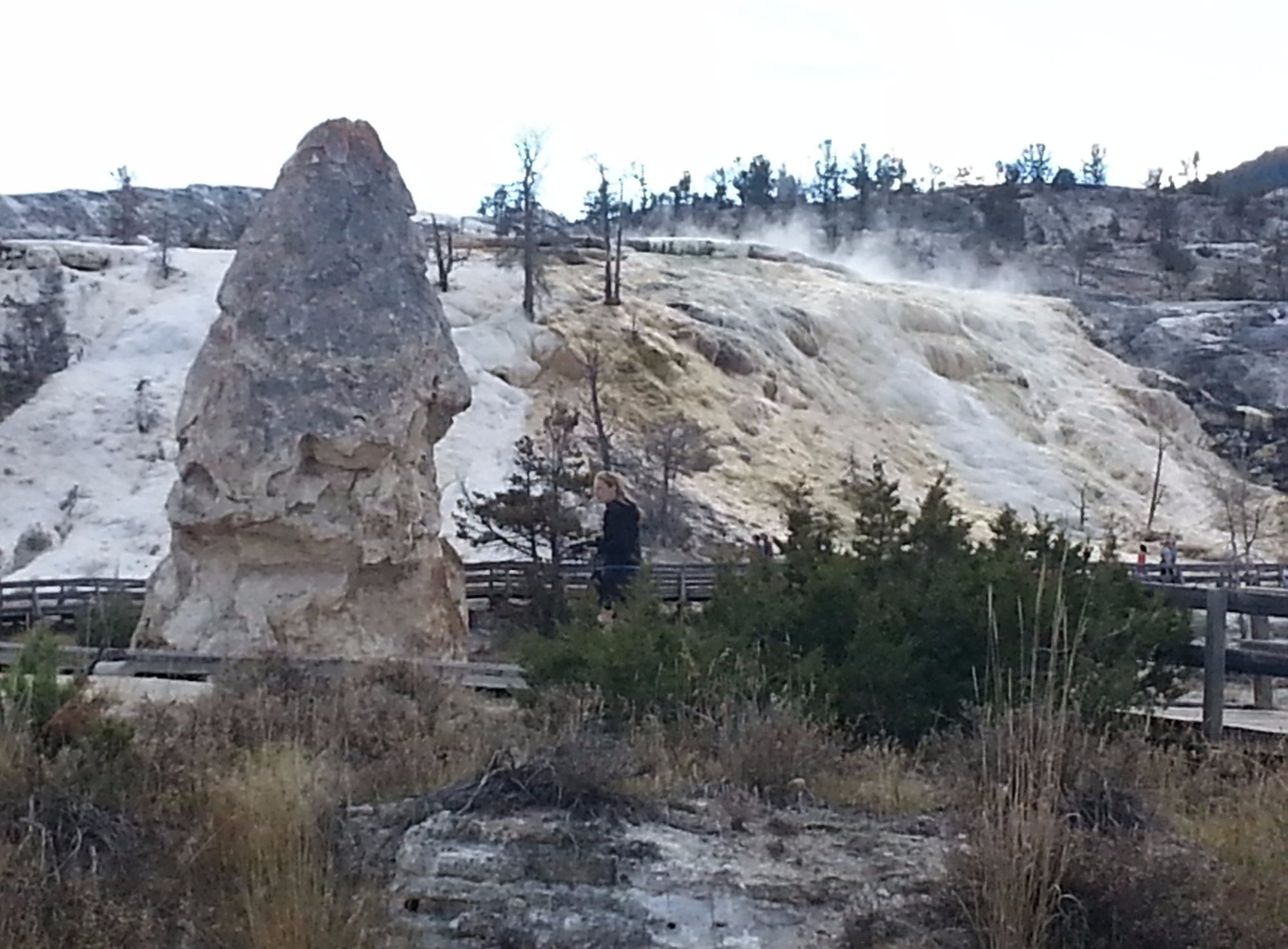 Yellowstone RV Park by null