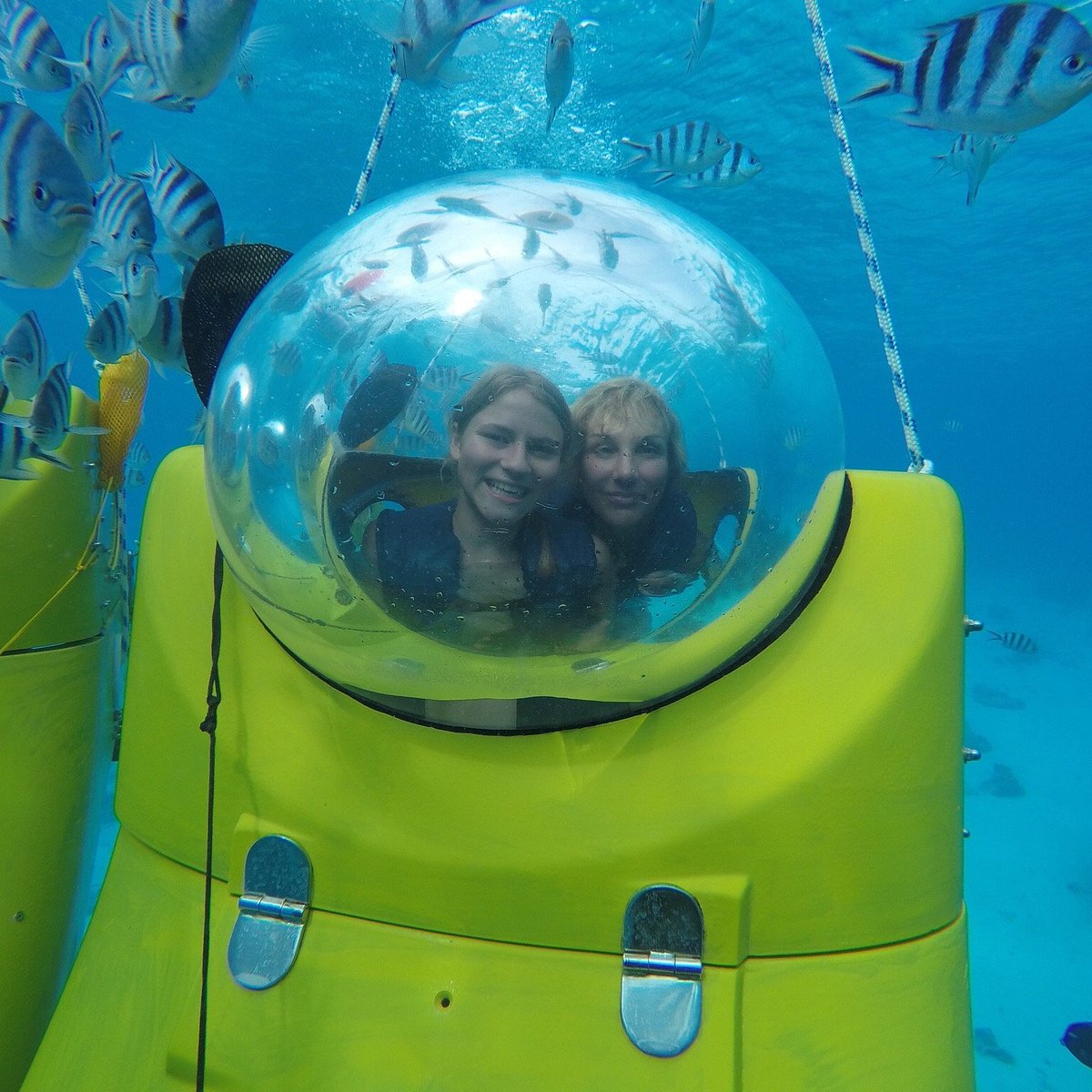 aqua bike tours