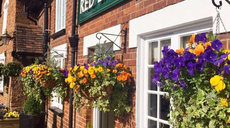 Spring Flowers at The Red Lion at Milton Bryan.