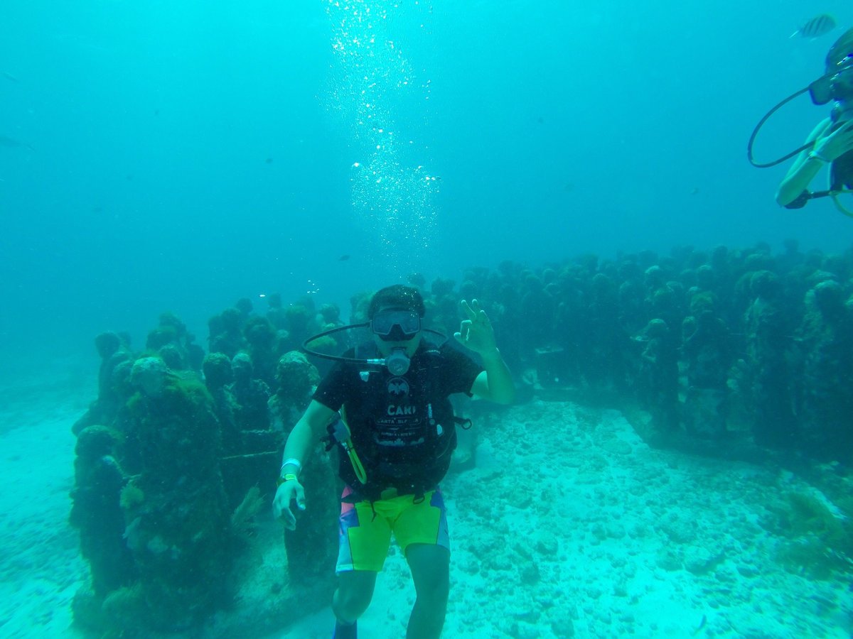 Arrecife Dive Center (Cozumel) - All You Need to Know BEFORE You Go