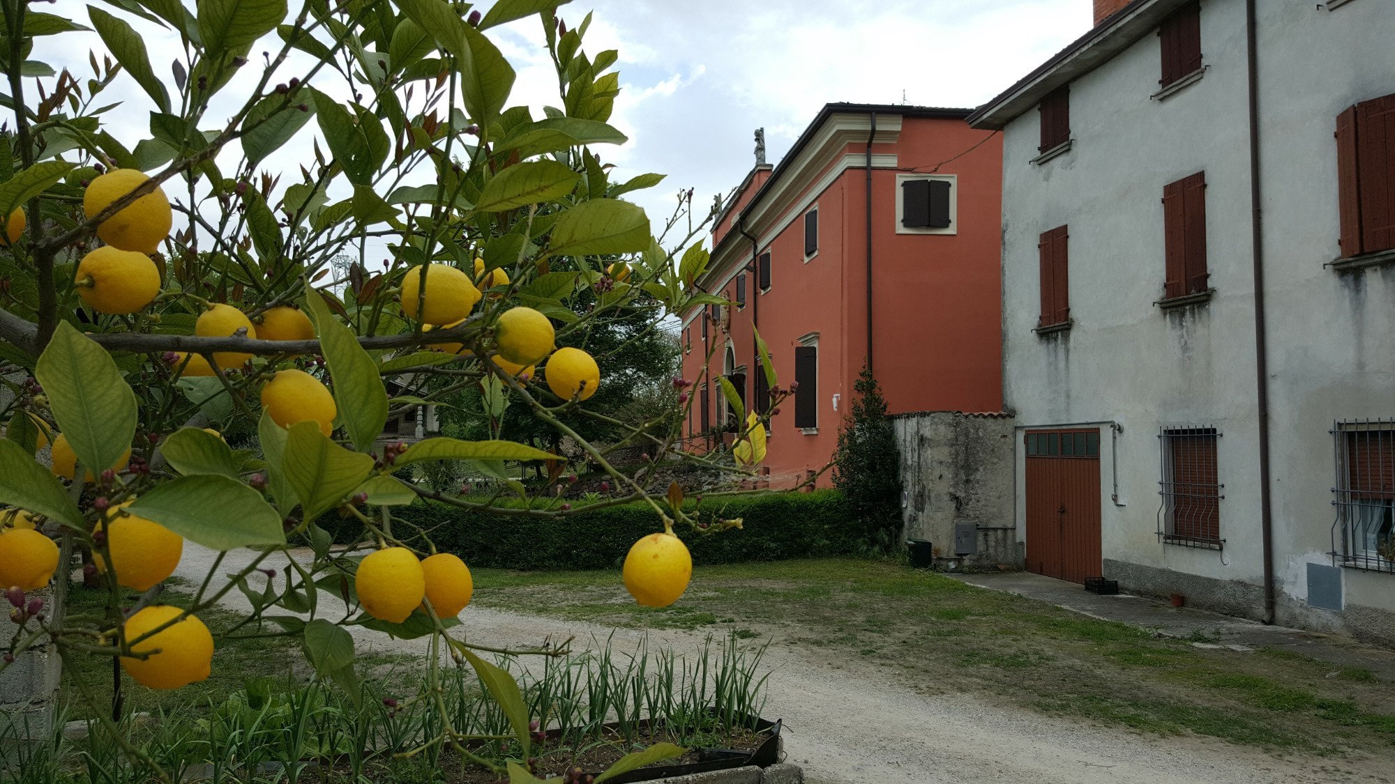 Palazzo di Monte Oliveto image