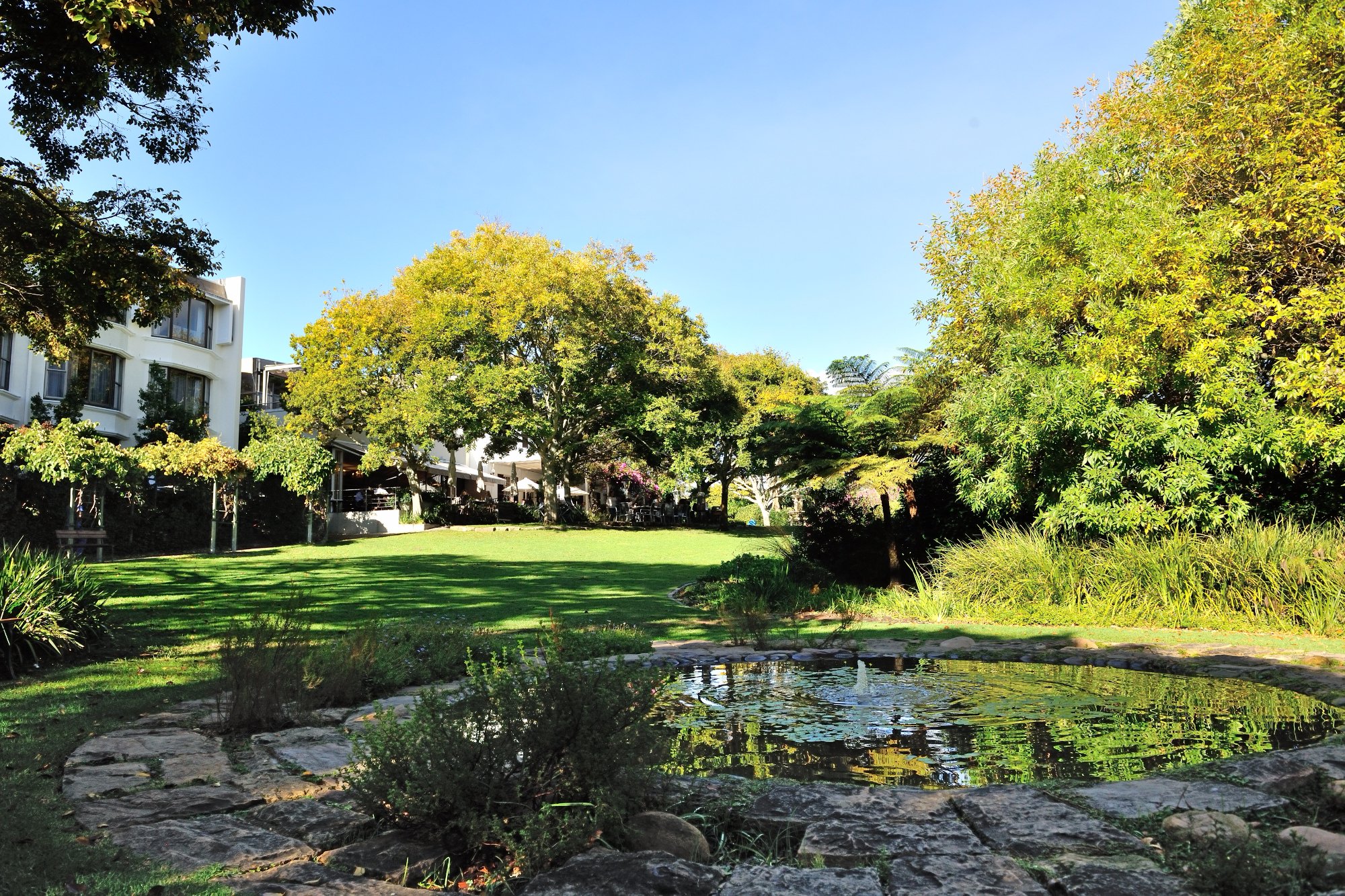 Hotel photo 23 of Vineyard Hotel.
