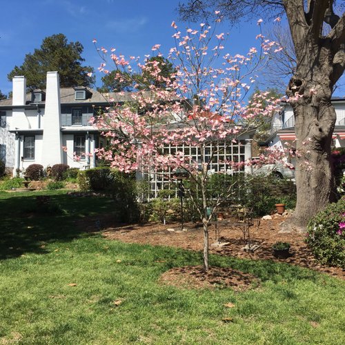 Fuquay Mineral Spring Inn and Garden image