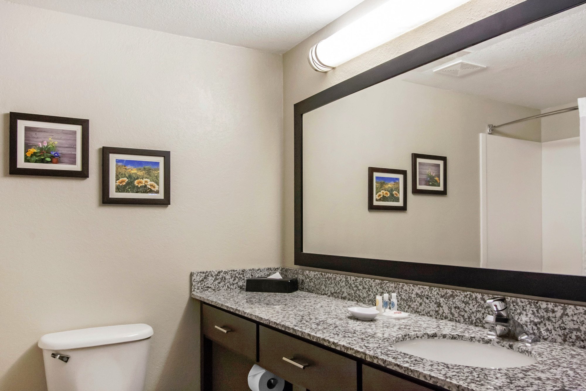 Hotel photo 14 of Comfort Suites Maingate East.