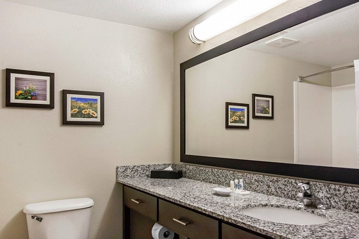 Comfort Suites Maingate East Rooms: Pictures & Reviews - Tripadvisor