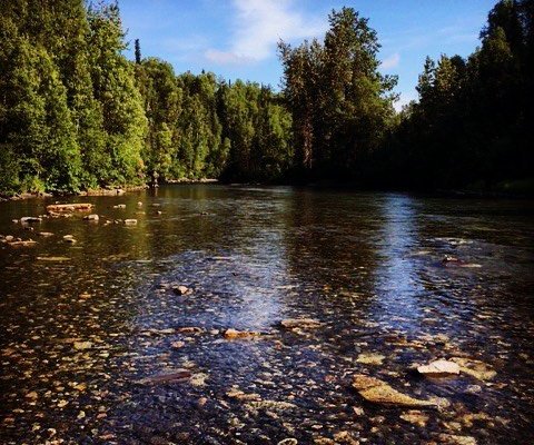 Talkeetna Wilderness River Fishing Guides - 2022 Alles wat u moet weten