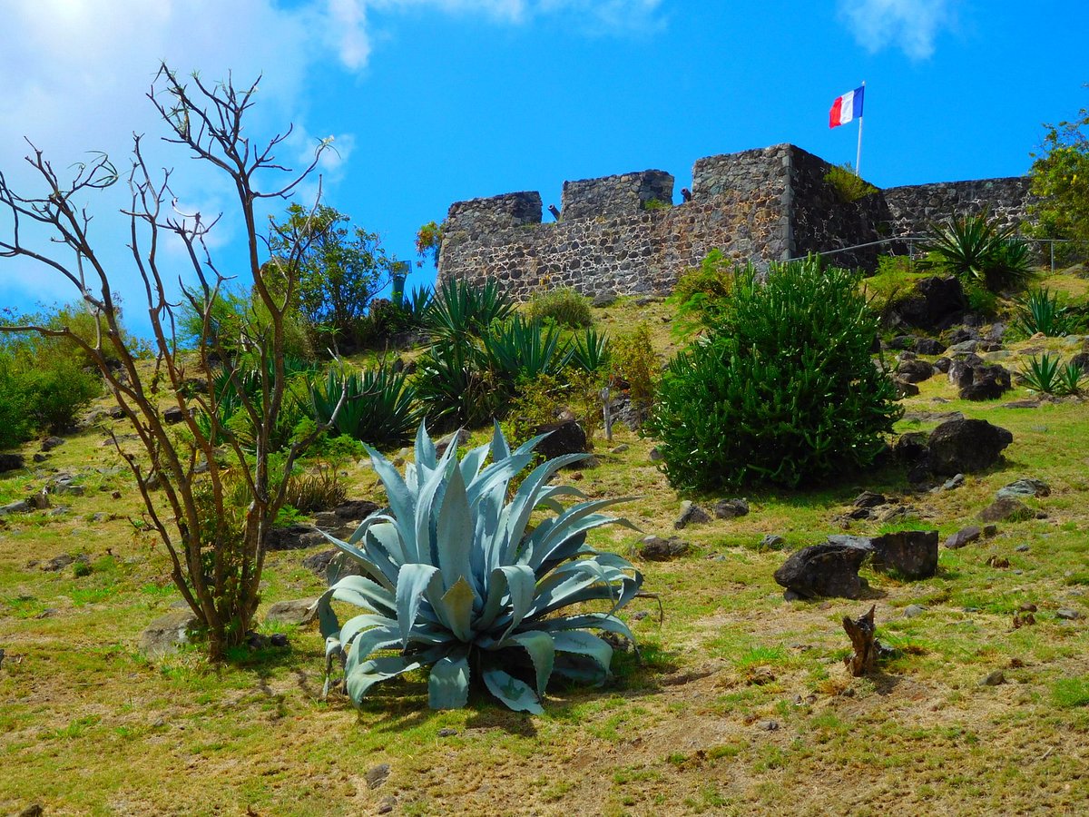 A picture of what remains of Fort Louis